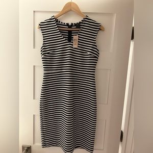 COPY - Ann taylor petite size 2 brand new dress